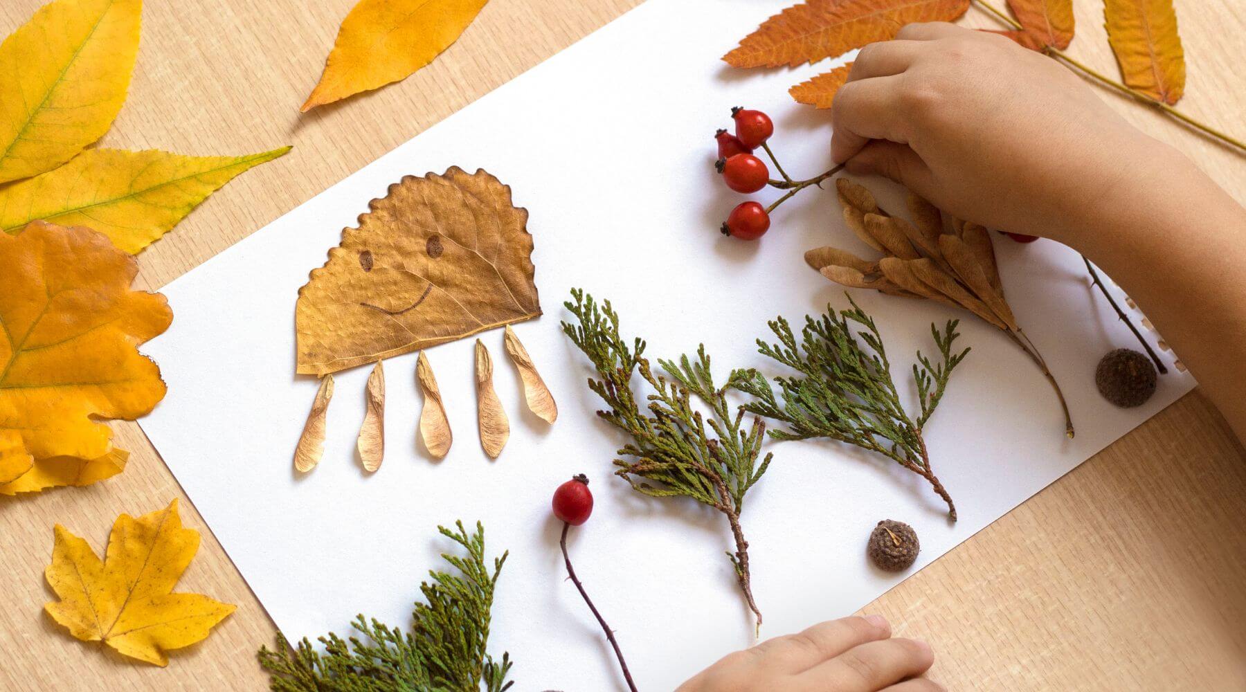 A Thanksgiving craft made with natural items like fall leaves, red berries, and green pine sprigs. The collage is arranged on a white paper background, creating a festive autumn design.
