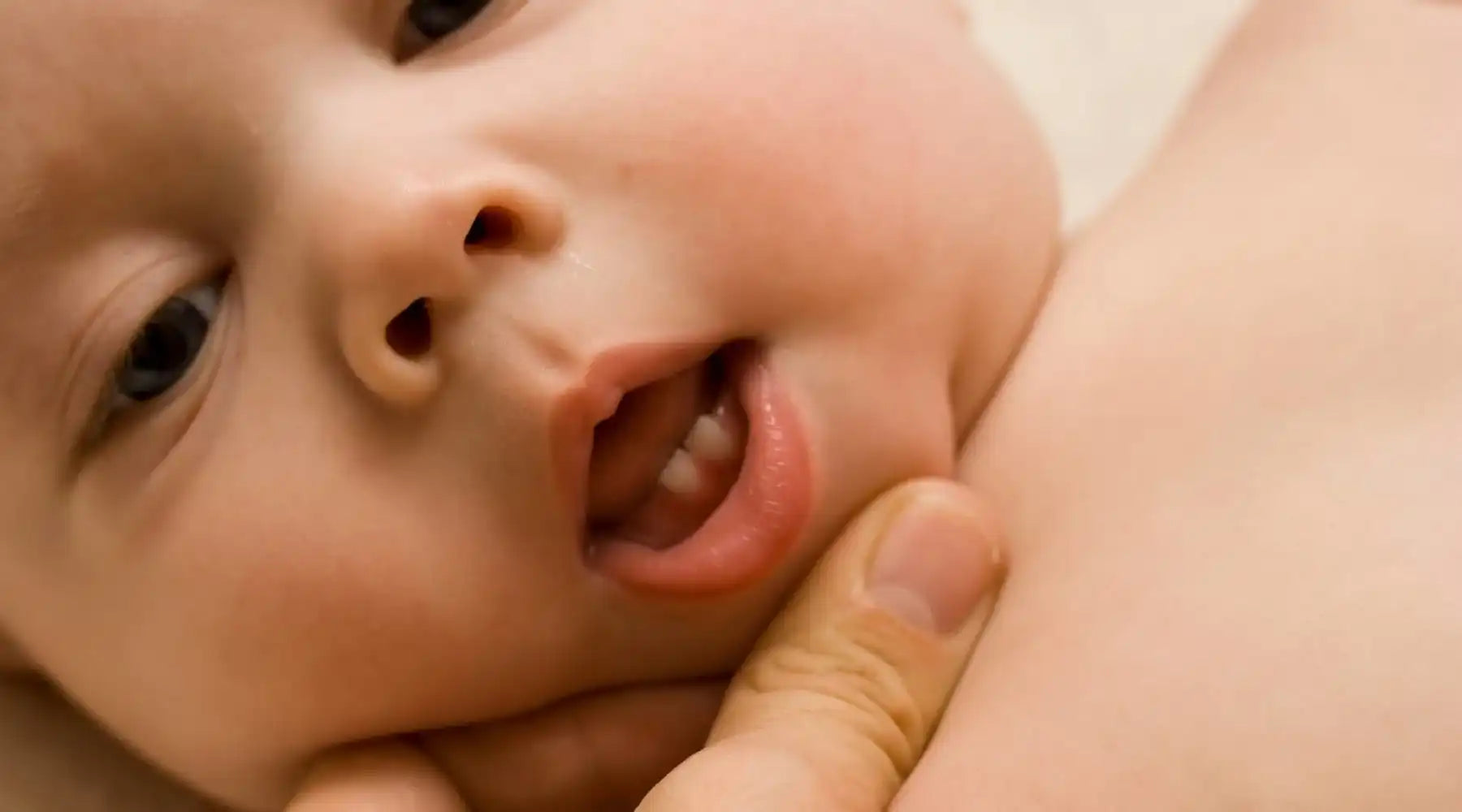 Close-up of a baby’s face showing small teeth emerging through the gums while someone gently holds their chin.